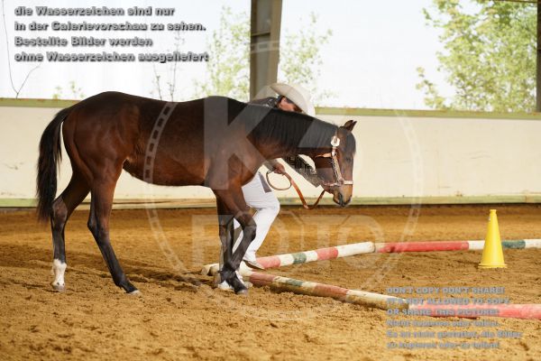 s_K3F06633.jpg